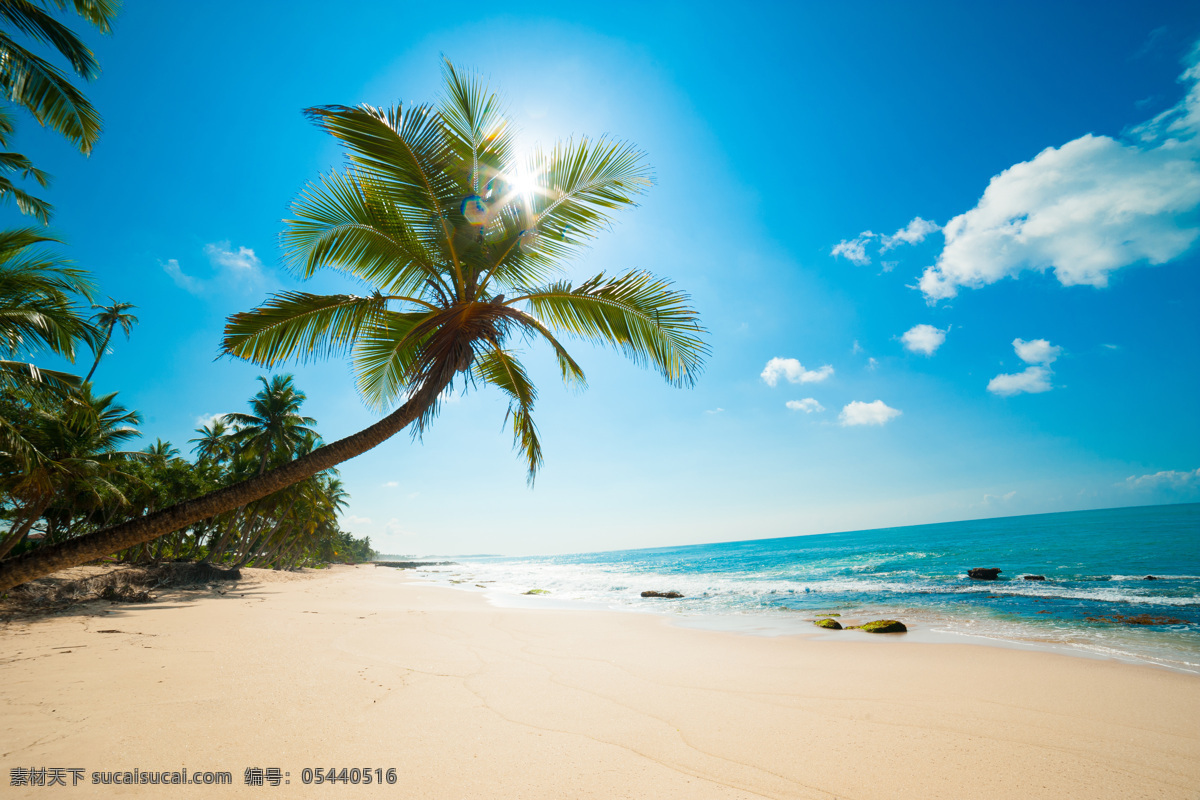 蓝天 下 海边 椰树 沙滩 大海 自然风景 自然景观 青色 天蓝色