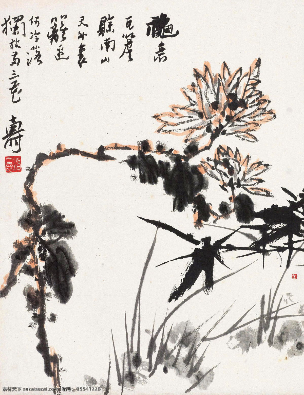 国画 秋菊 潘天寿 秋意 菊花 绘画书法 绘画艺术 国画潘天寿 文化艺术 白色