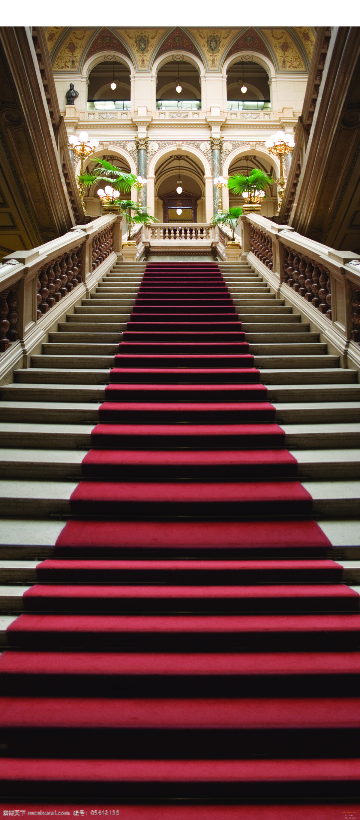 红地毯大教堂 红地毯 教堂 室内 建筑 宫殿 黑色