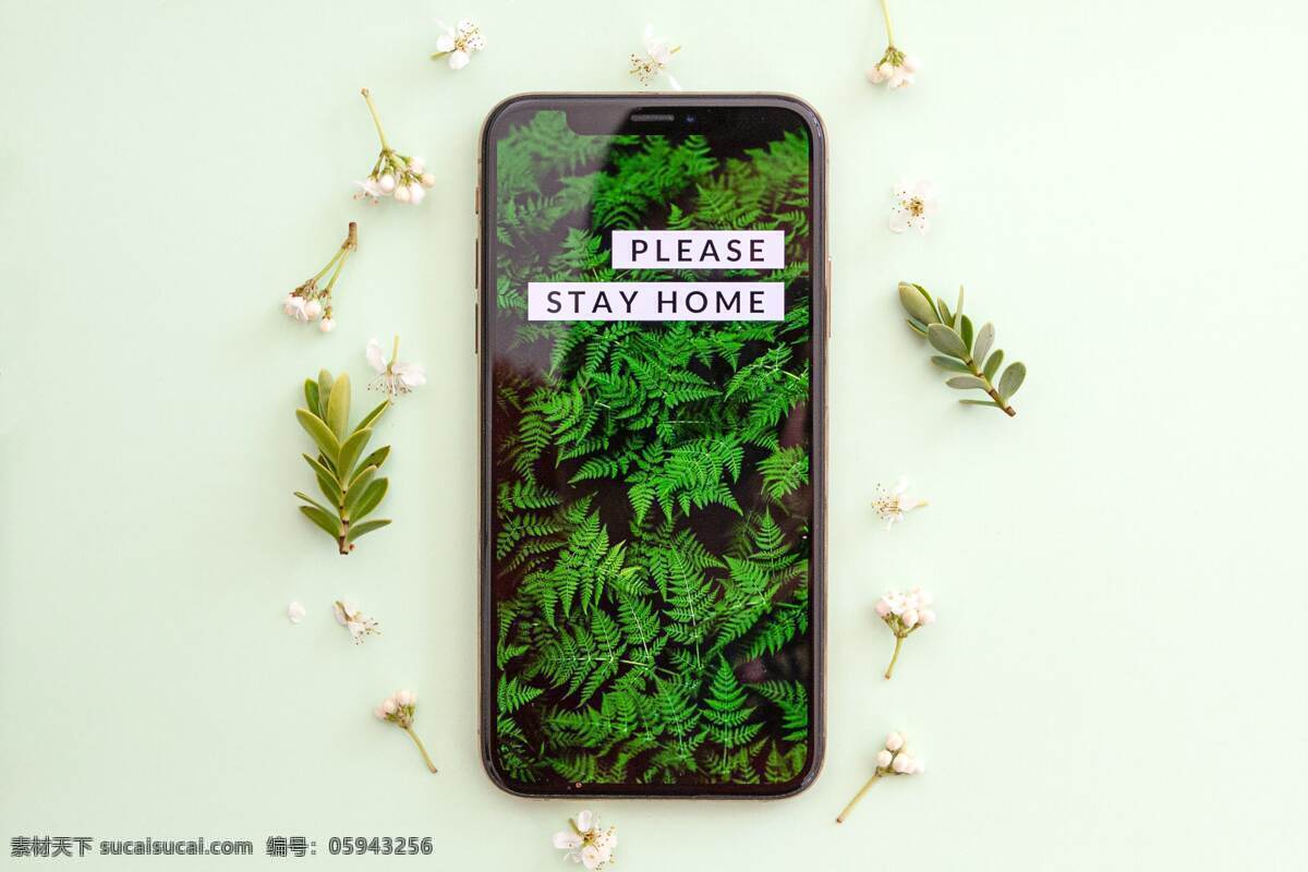 手机 绿色 树 叶子 海报 背景 小清新