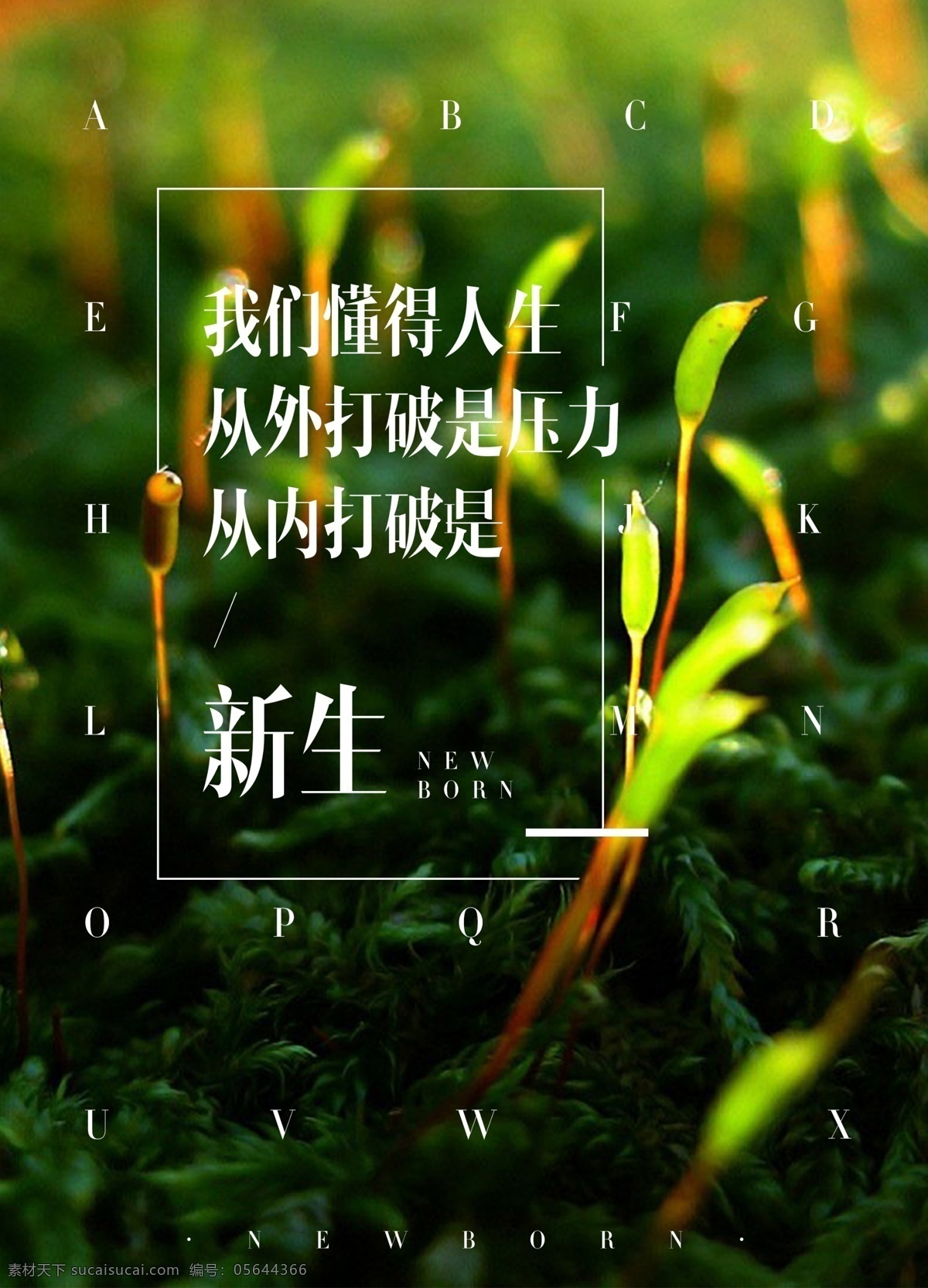 新生 海报 心灵鸡汤 励志 早安 春天 绿色