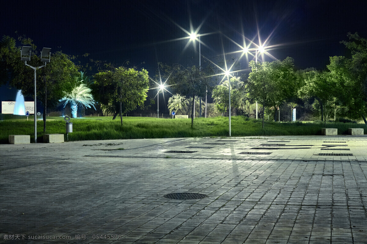 夜晚 城市 广场 夜景 草地 大树 灯光 建筑设计 环境家居