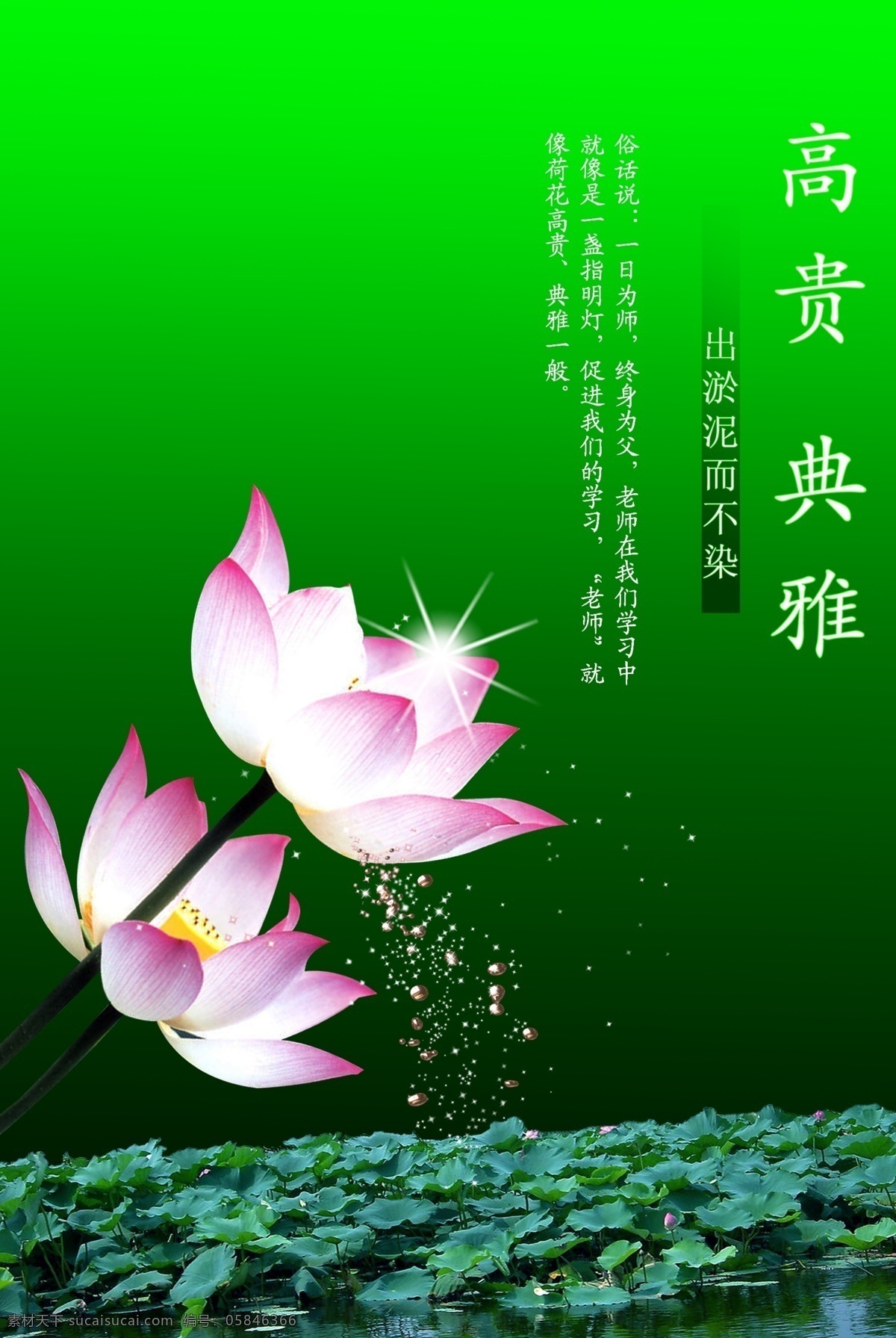 廉政 展板 典雅 高贵 广告设计模板 荷花 花海 廉政展板 星光 源文件 展板模板 其他展板设计