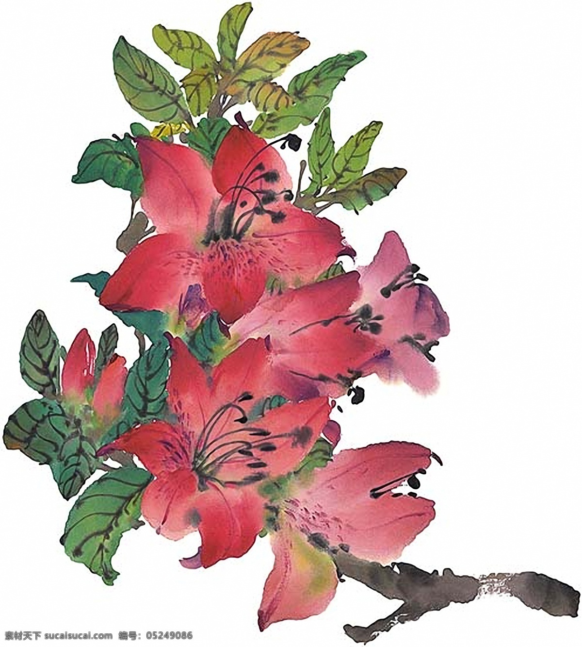 国画 　 中国画 中国画090 设计素材 静物画篇 中国画篇 书画美术 白色