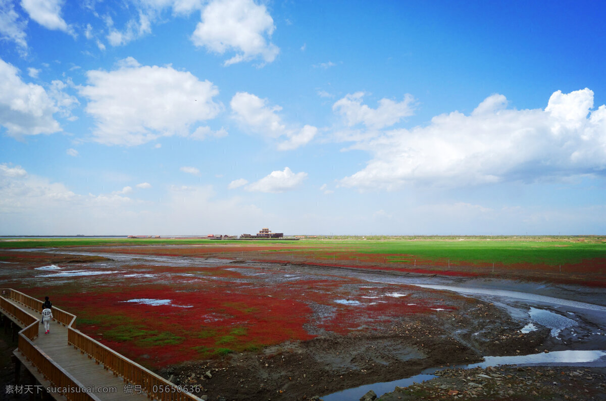 红海 滩 国家 风景 廊道 红海滩 盘锦 碱蓬菜 苇海湿地 湿地 风光 辽河口 盘锦魅力 旅游摄影 国内旅游