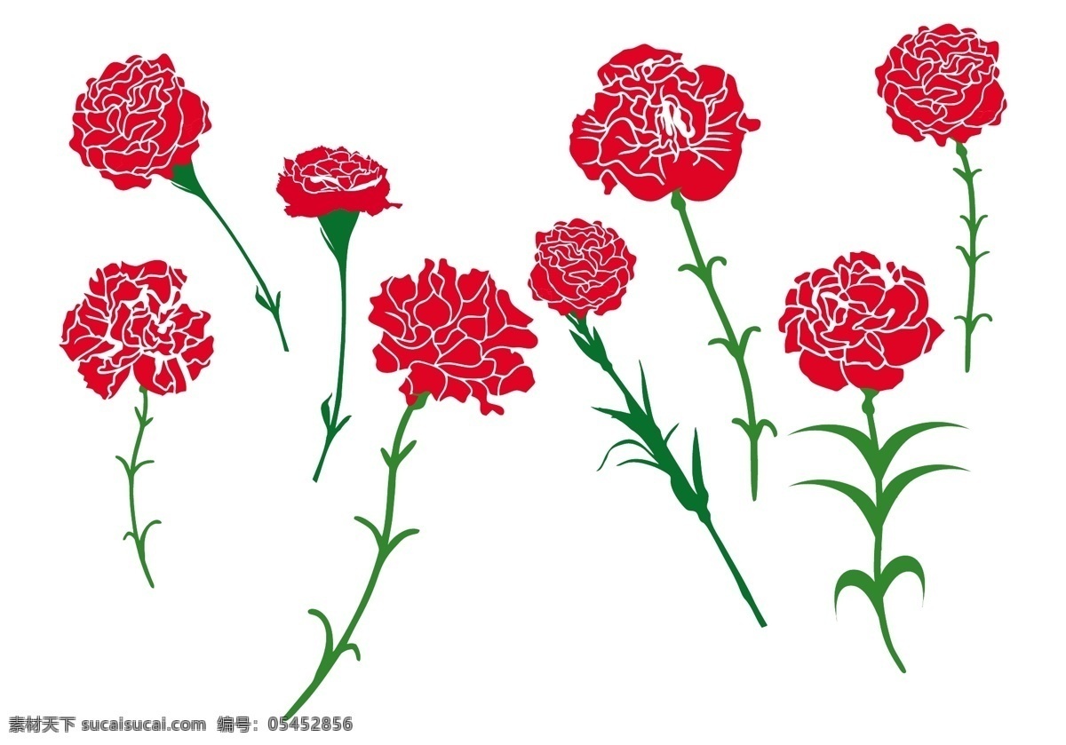 免费 康乃馨 花 矢量 孤立的 自然 植物 红色 背景 元素 美丽 象征 绿色 明亮的 新鲜的 单色的 有机的 流行的 叶 记忆 风格 夏天 单集 形状 采集植物 艺术 生物学 图形 花卉 生态 中药