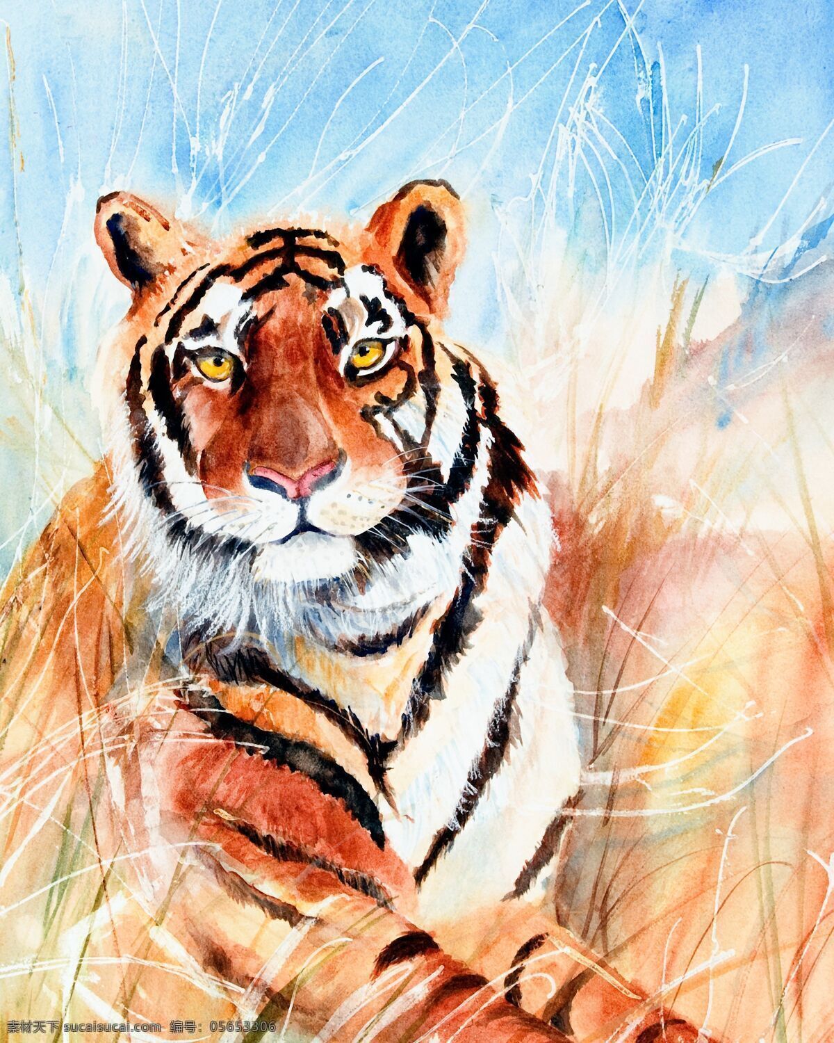 水彩老虎漫画 水彩动物插画 老虎插画 绘画艺术 水彩画 陆地动物 生物世界 白色