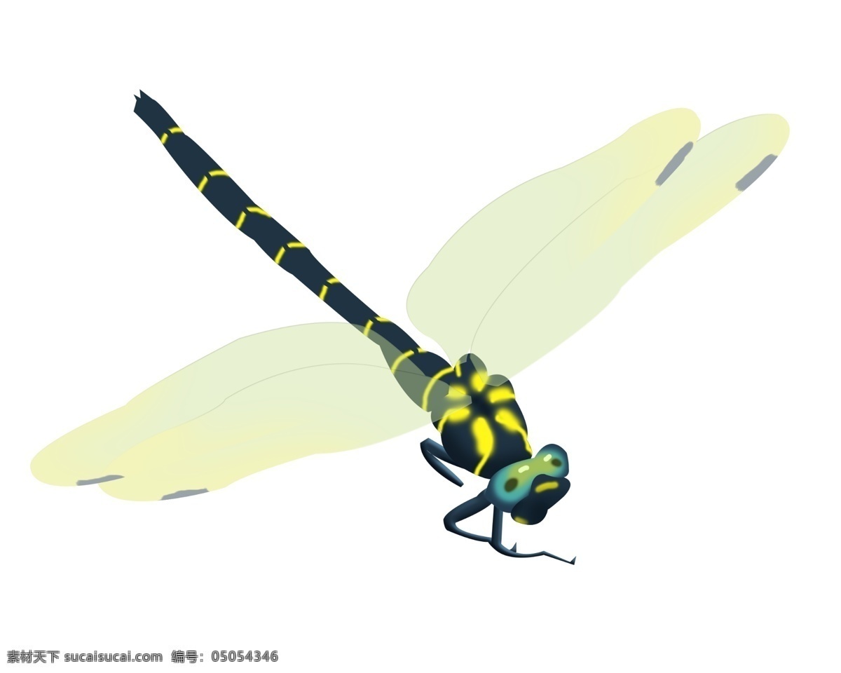大自然 小 生物 蜻蜓 动物 环境 翅膀