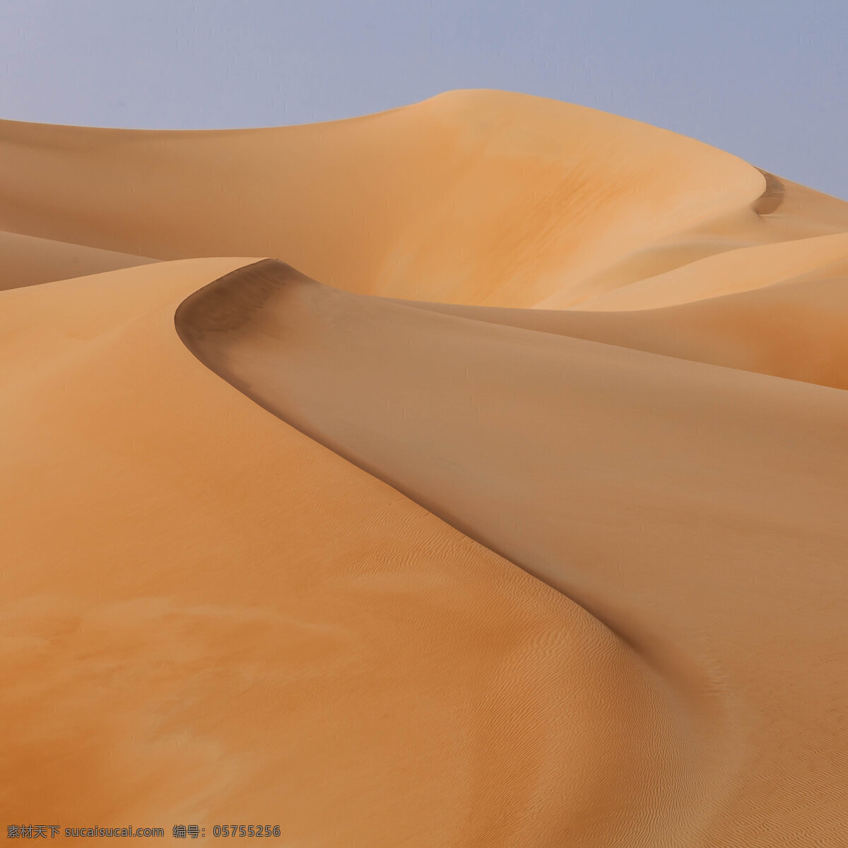 沙漠 沙丘 沙纹 沙漠植物 沙漠景观 沙漠风情 沙堆 黄沙 荒漠 荒沙 沙漠奇观 流动沙漠 沙子 沙漠风光 沙漠沙丘 沙漠风景 沙漠旅游 沙漠沙山 宁夏沙漠 戈壁滩 自然景观 自然风景