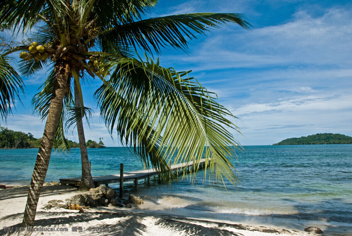 椰子树 海边 桥 海边风景图 大海 自然风景 自然景观
