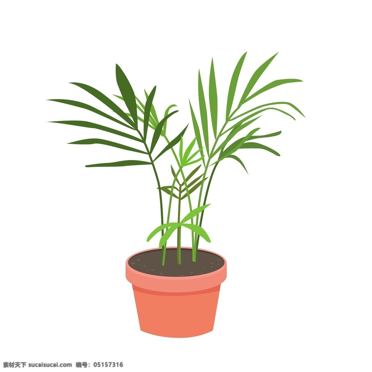 袖珍 椰子 家居 植物 热带 室内 盆栽 矢量 元素 绿植 热带植物 室内植物 袖珍椰子 吸甲醛 家居植物