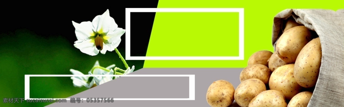 土豆 公司 格式 方框 土豆花 绿色