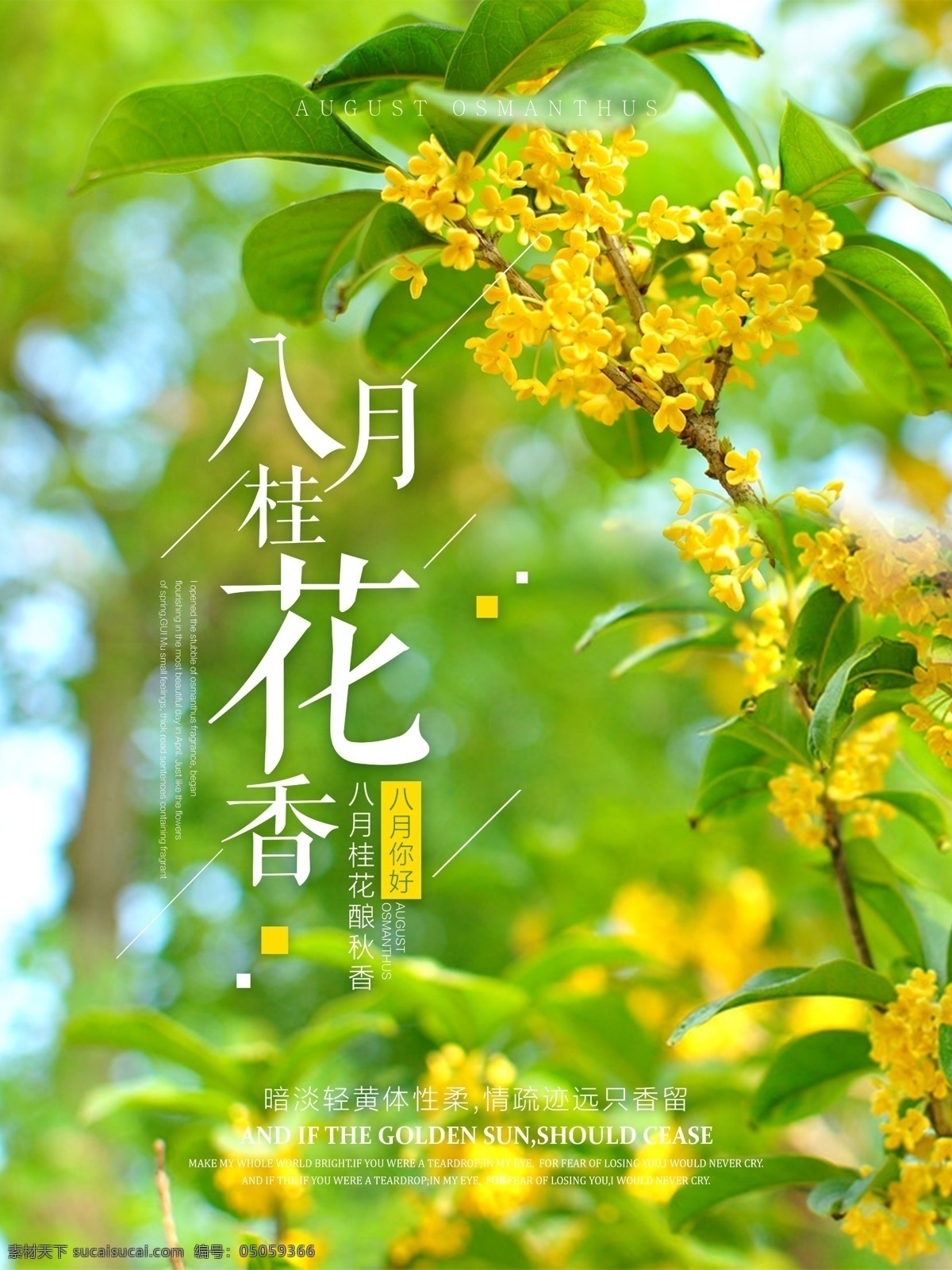 石油 天然气 管道 石油管道 天然气管道 石油开采 天然气开采 石油天然气 工业生产 工业设施 管道设施 工业设备 现代科技