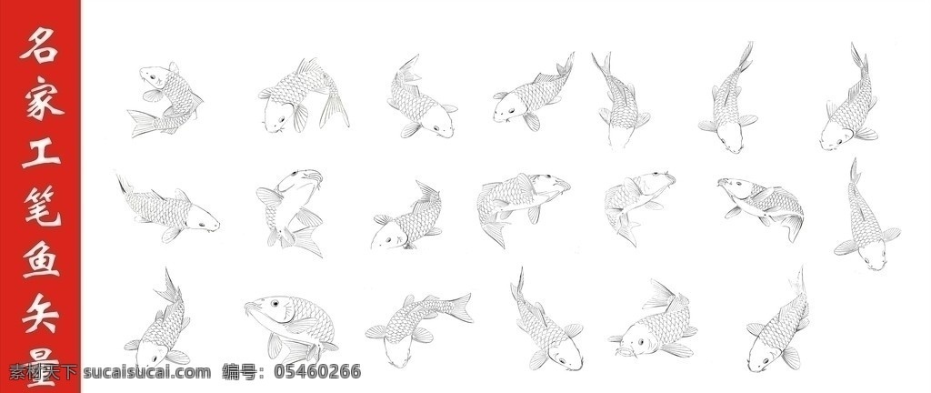 工笔 鲤鱼 姿态 鱼 白描 传统画法 矢量 鱼类 生物世界