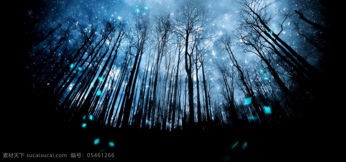 星夜森林 星空 夜色 森林 空灵 幽静 唯美 昏暗 自然景观 自然风光