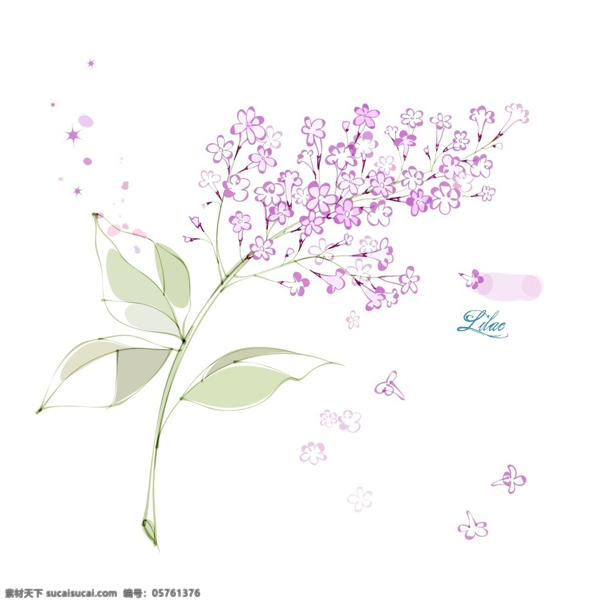 紫丁香 花朵 花卉 手绘 素描 矢量图 花纹花边