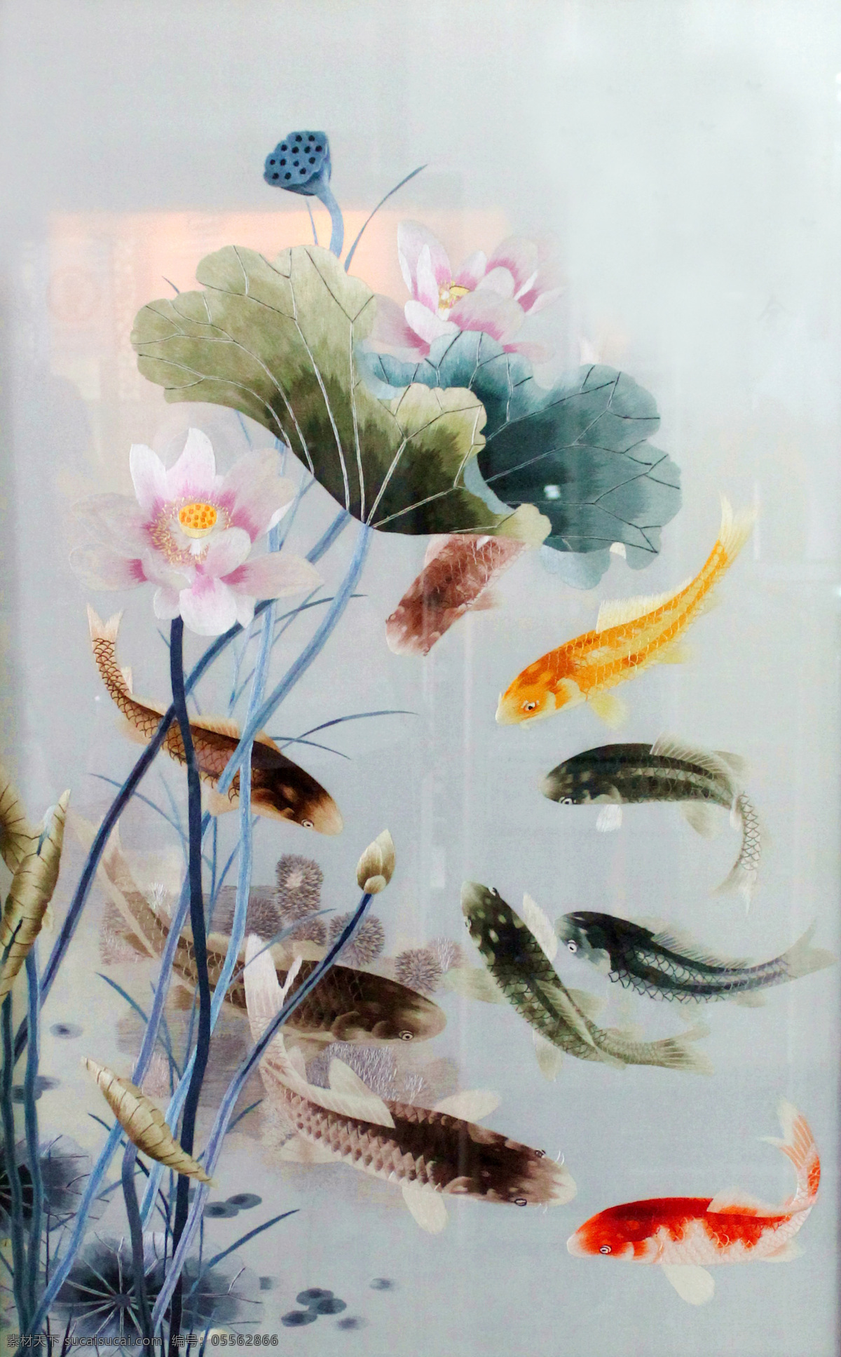 鲤鱼 红色鲤鱼 年年有余 荷花 荷叶 莲蓬 国画 绘画书法 文化艺术