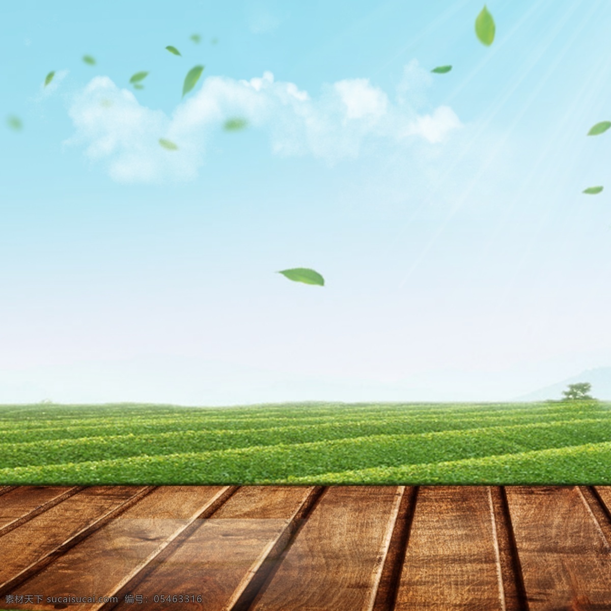 绿色 模板 展示 主 图 阳光 木台 蓝天 麦穗 绿叶 天空 木纹 台子