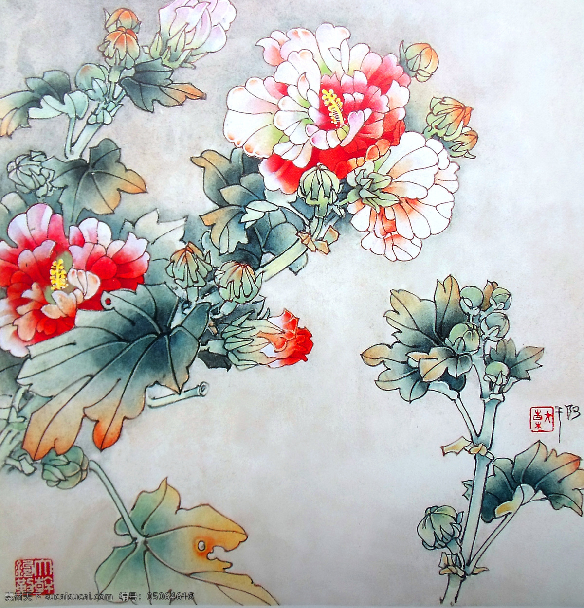 水彩画 花 国画 国画花鸟 牡丹花 盛开 花开富贵 红色 粉色花瓣 绽放 国工笔画 美术国画 文化艺术 设计素 绘画书法