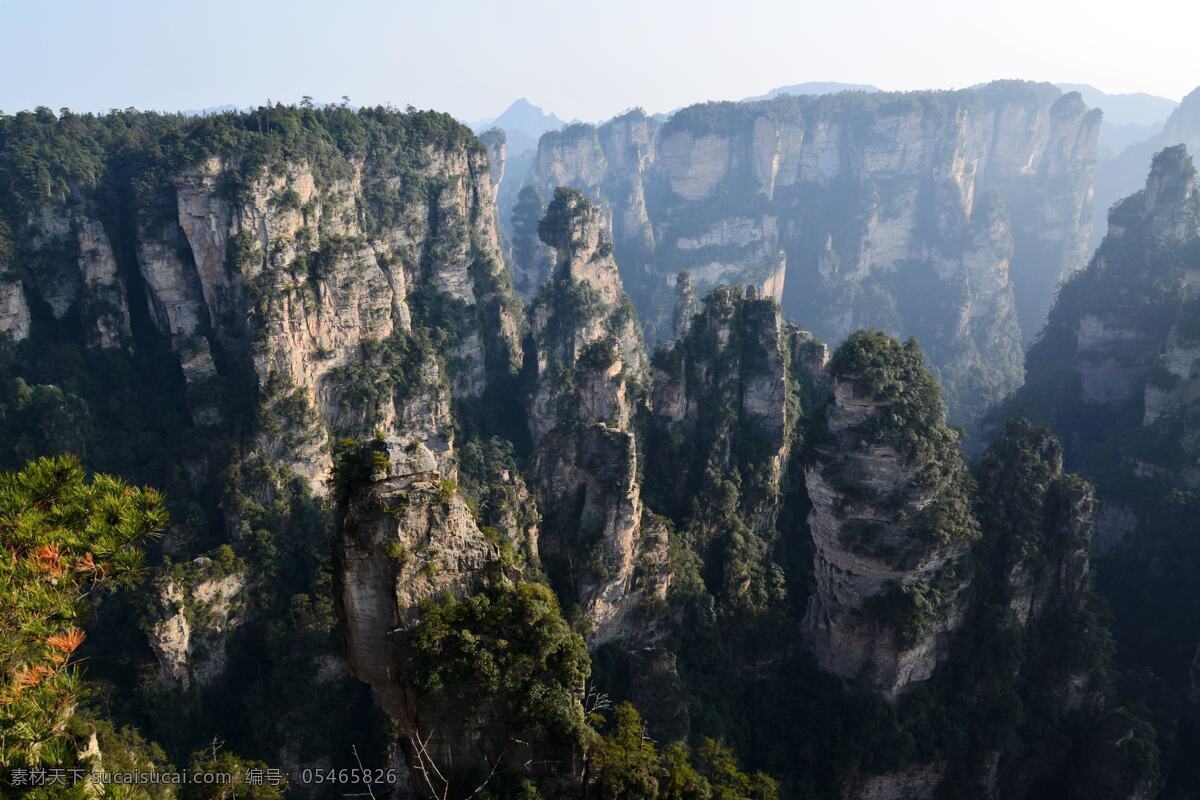 袁家界 神堂湾 张家界 张家界风光 武陵源 森林公园 自然遗产 地貌 石林景观 山体 岩层 国内旅游 旅游摄影