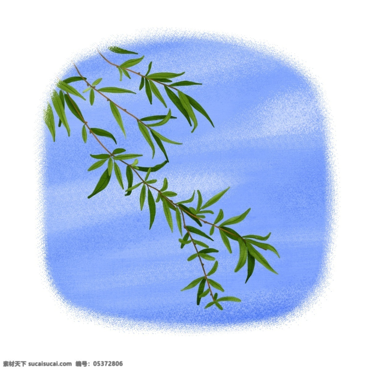 手绘 卡通 翠绿 柳枝 插画 柳树 叶子 植物 绿色