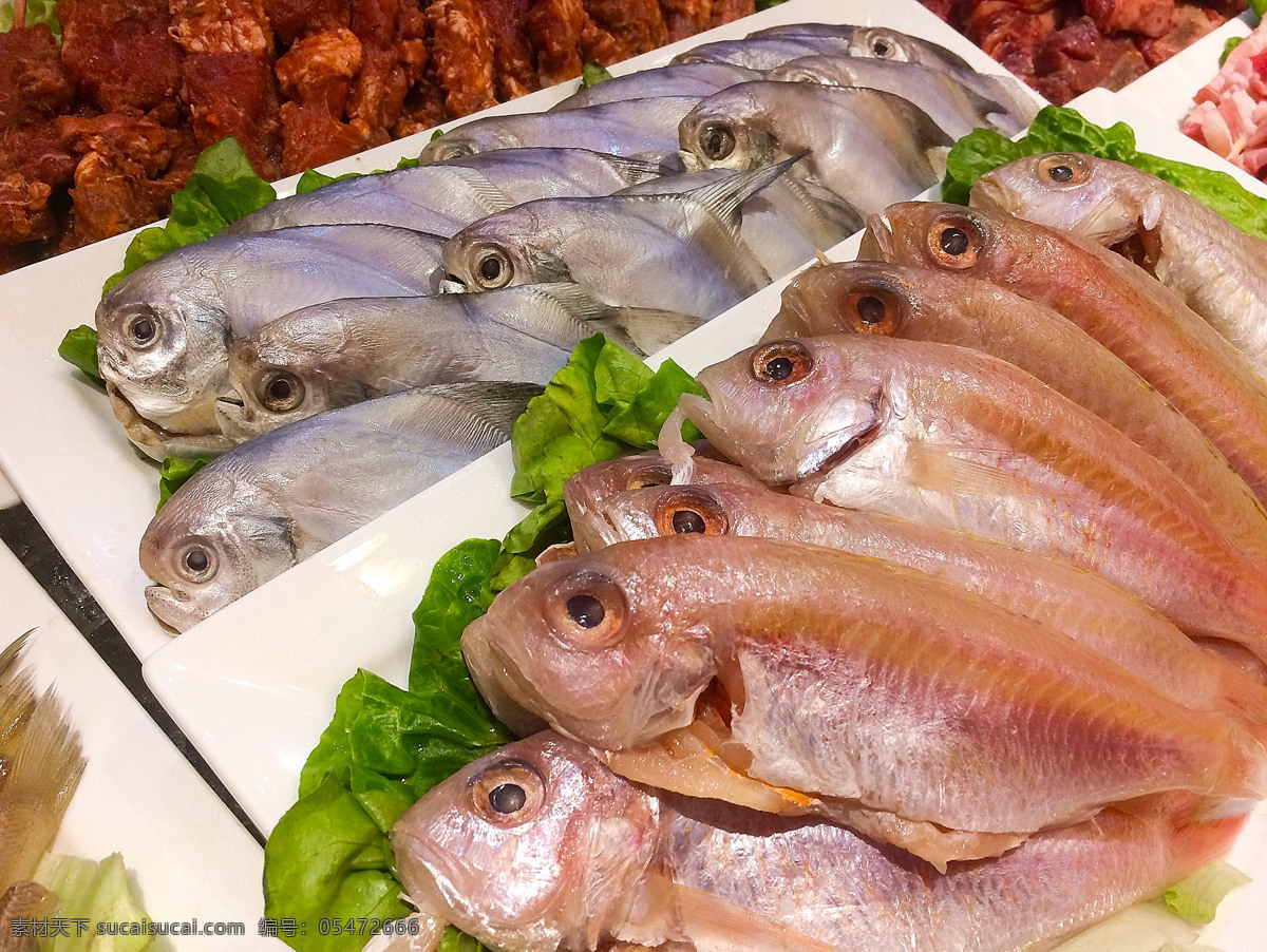 海鲜鱼类 海鲜 海味 水产品 海产品 新鲜 鱼类 海鱼 鲜鱼 冷鲜鱼 冰冻食品 餐饮美食 食物原料