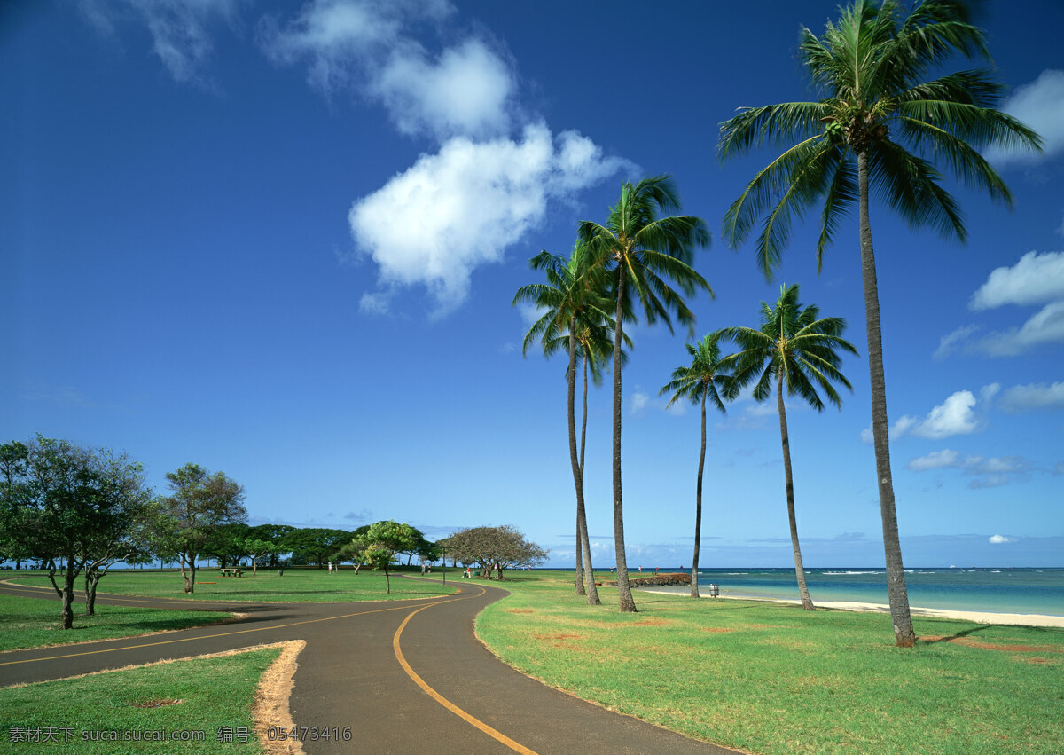 海岛风情 蓝天 白云 碧海蓝天 棕树 椰子树 海边 沙滩 海岛 海边休闲 自然景观 自然风景