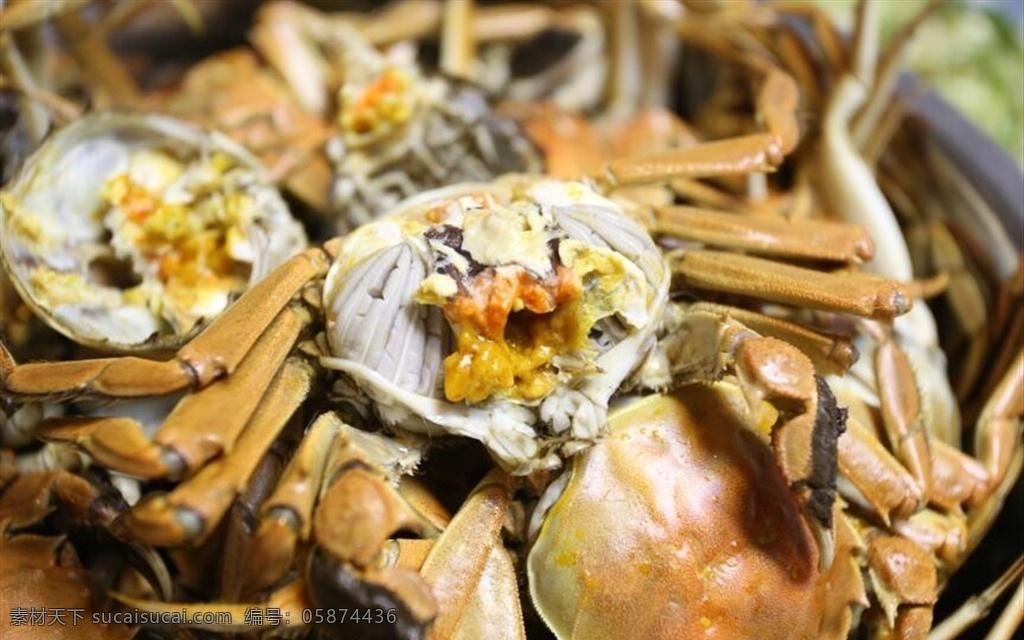 盘锦河蟹 河蟹 中华绒螯蟹 蟹黄 蒸螃蟹 盘锦 稻田蟹 餐饮美食 传统美食