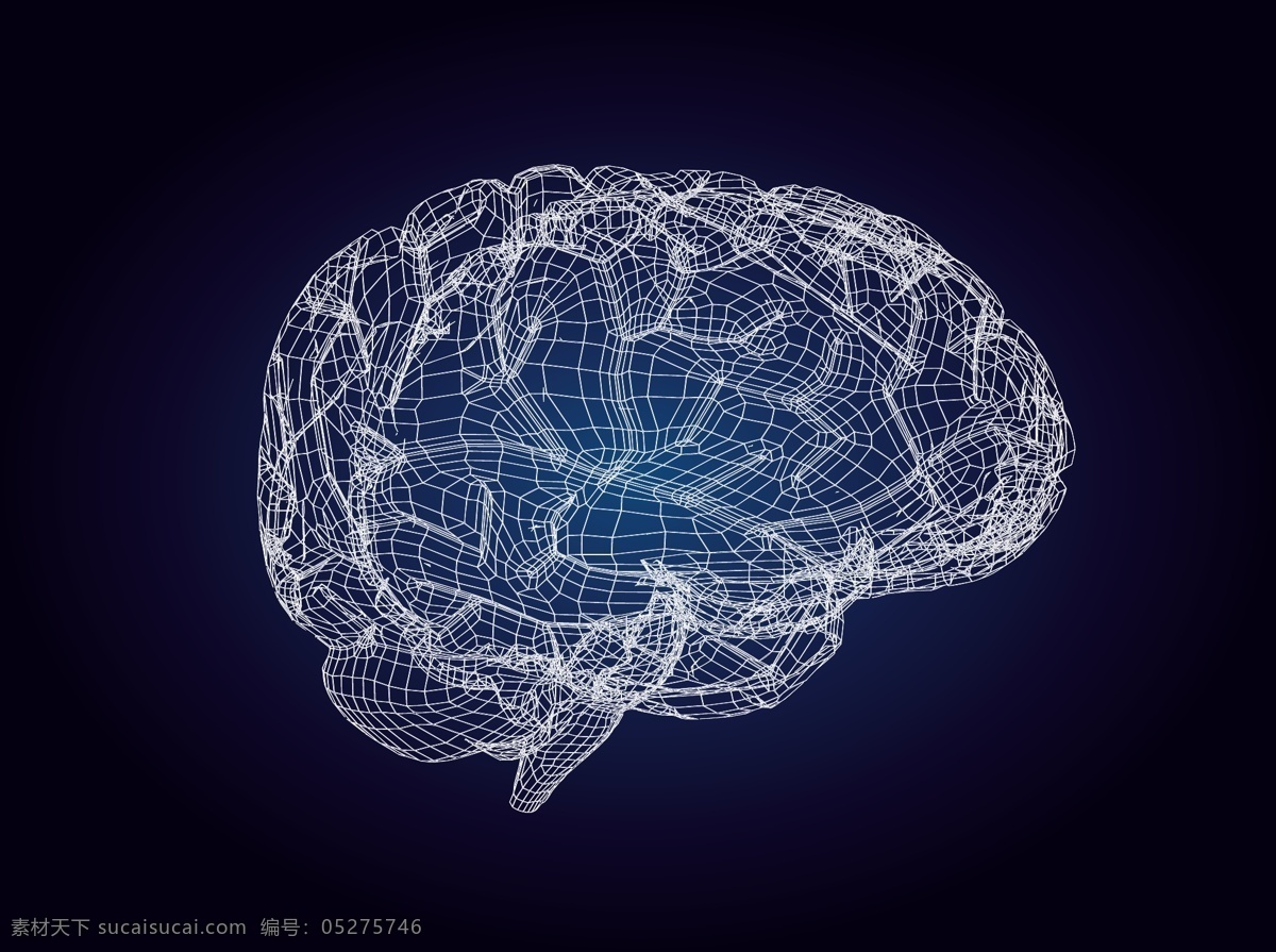 3d 模型 风格 大脑 矢量 矢量素材 矢量大脑 线条结构 矢量图 现代科技