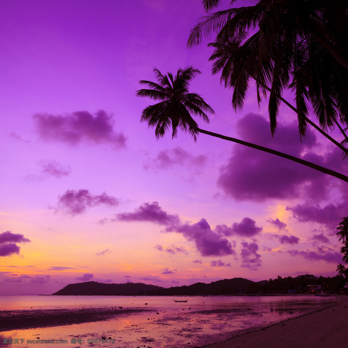 马尔代夫 风景图片 椰子树 海滩 海岛 夕阳 晚霞 黄昏 云彩 国外旅游摄影 自然风景 旅游摄影