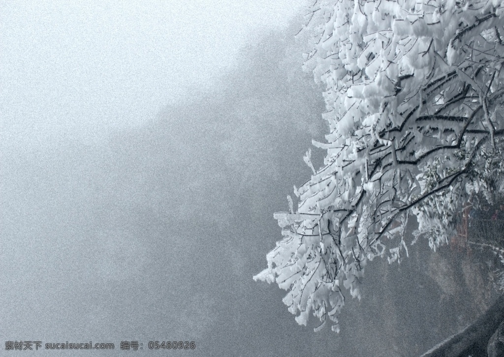 雾凇大雪 雾凇 大雪 天门山 冰 雪 结冰的树 自然景观 自然风景