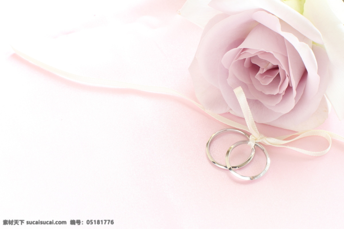 玫瑰花 结婚 戒指 婚礼花束 鲜花背景 玫瑰 结婚戒指 温馨 浪漫 花草树木 生物世界 白色
