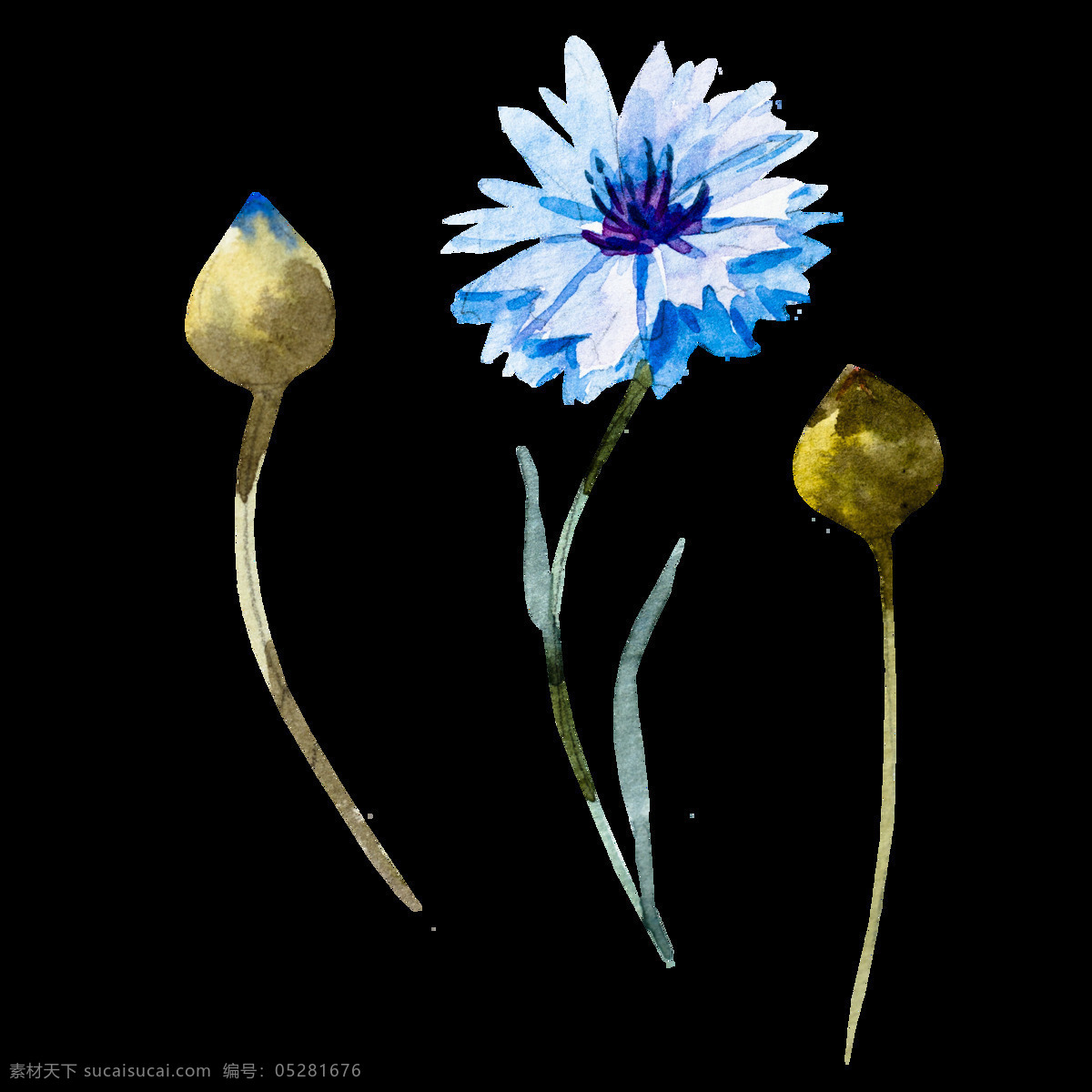 蓝色 创意 花卉 卡通 透明 抠图专用 装饰 设计素材