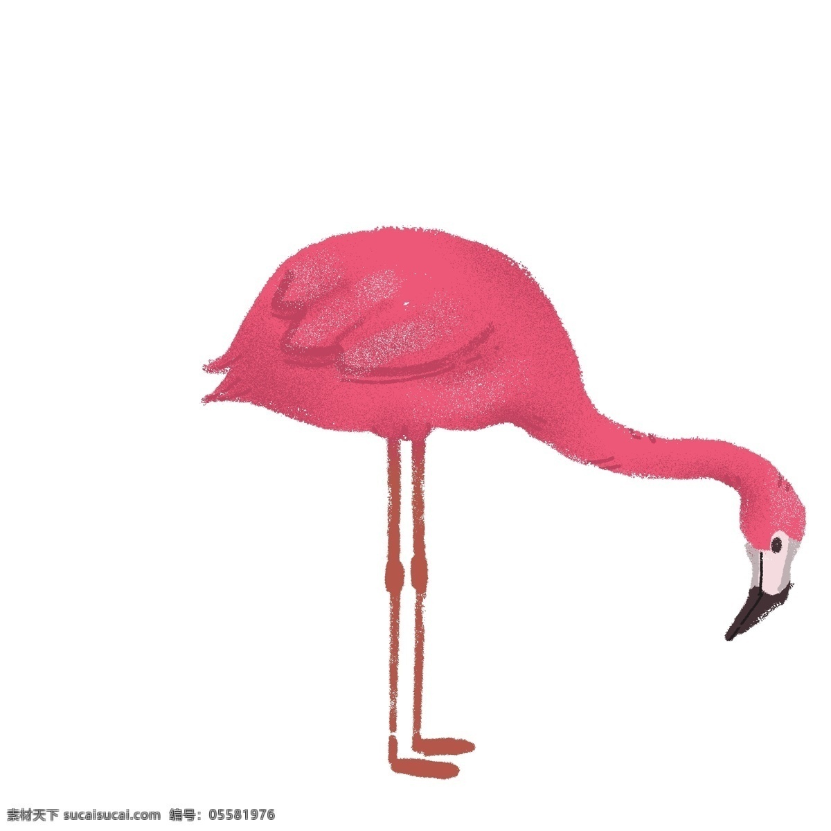 火烈鸟红色 png图 动物 手绘