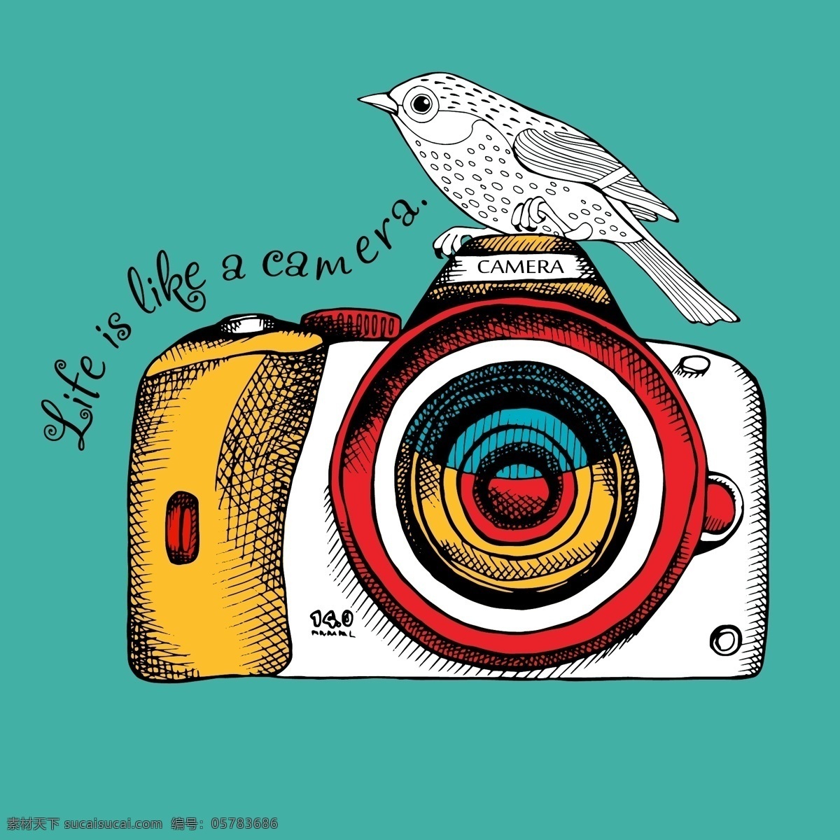 手绘 趣味 相机 小鸟 插画 彩色 卡通 可爱