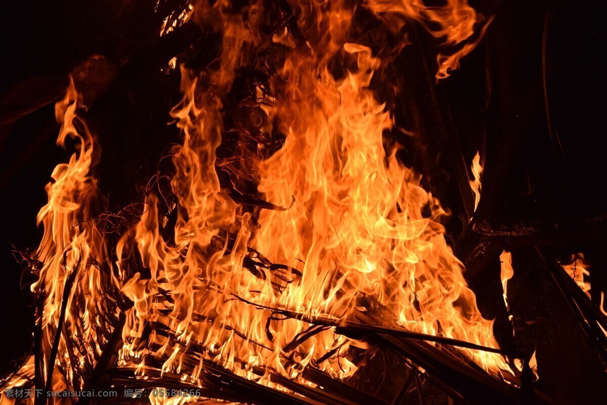 火 火光 能源 黄色 热浪 燃烧 火焰 火柴 火情 火种 着火 火把 自然景观