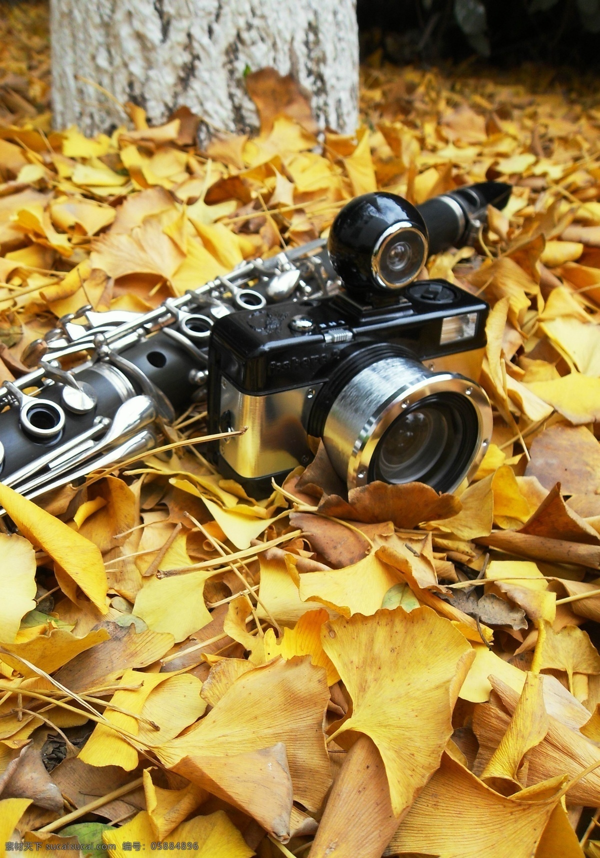 复古 老式 生活百科 生活素材 树 树叶 数码相机 相机 黑管 相机与黑管 复古相机 单簧管 杏树 杏叶 psd源文件