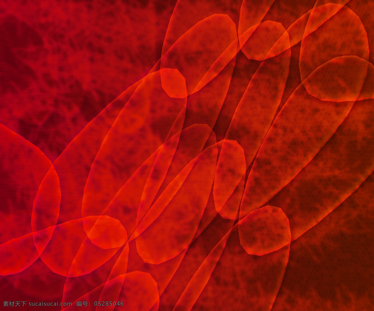 红细胞 纹理 红细胞的纹理 医院医疗