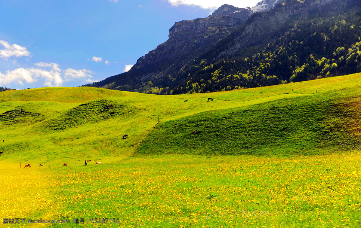 瑞士风光 瑞士 国外 牧场 蓝天 白云 阿尔卑斯山 树木 草地 国外旅游 旅游摄影