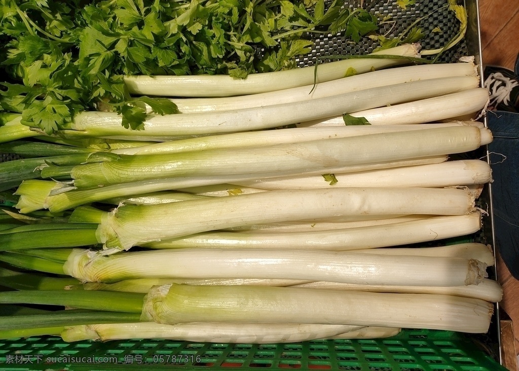 大葱 蔬菜 新鲜 食品 绿色 农业 青菜 植物 素食 维生素 有机蔬菜 菜叶 瓜 蛋 鸡蛋 菜市场 肉 菜地 菜园 生物世界