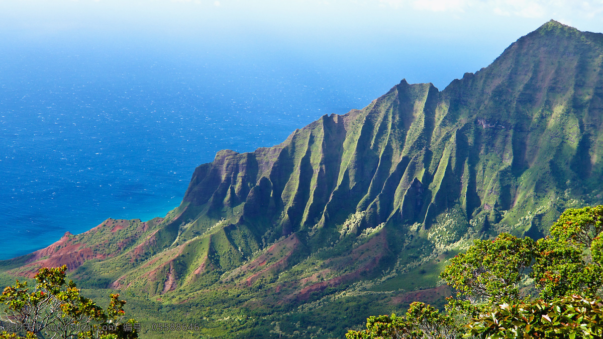 清新自然风景 自然 自然美景 自然风景 风景 自然景观