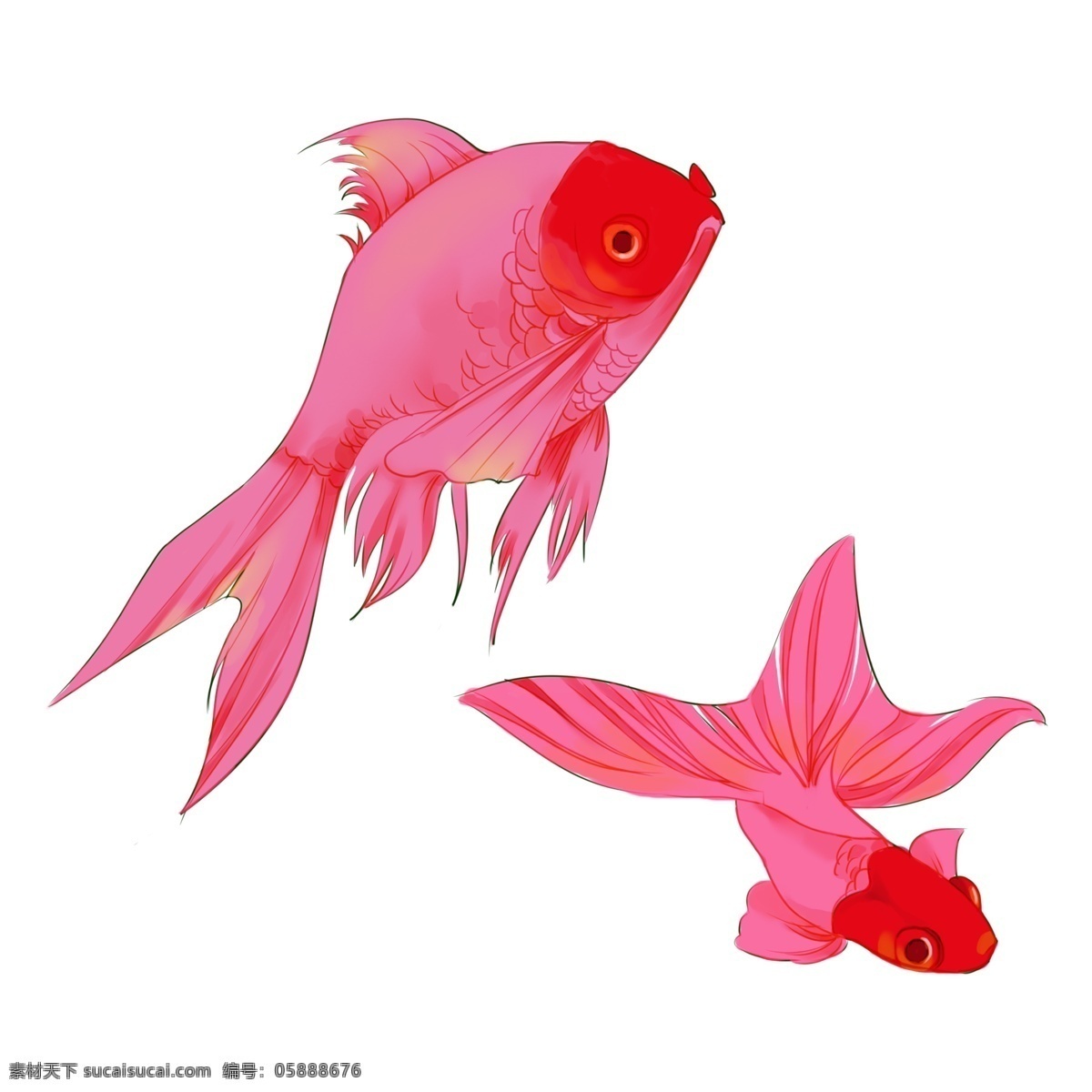 手绘 金鱼 动物 卡通 透明 装饰图案 宠物 免抠素材 可爱