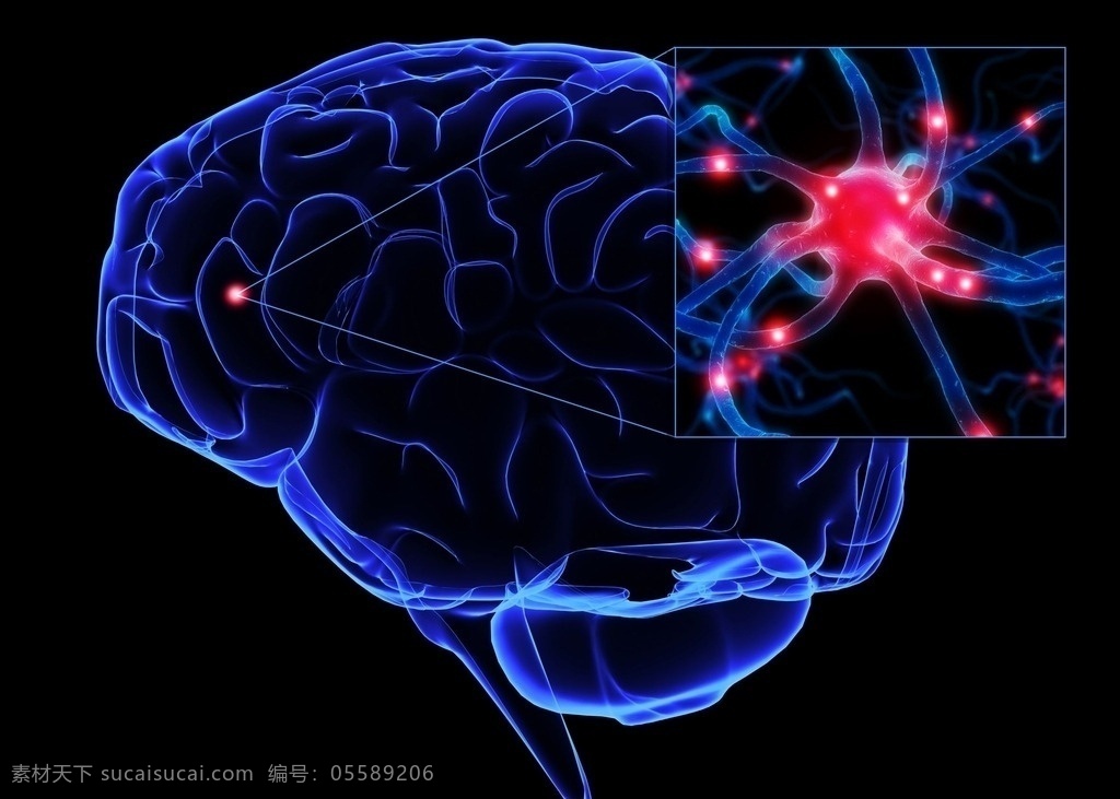 人体脑部 3d图 脑神经 大脑 医疗科技 蓝色大脑 医疗集 3d设计 3d作品