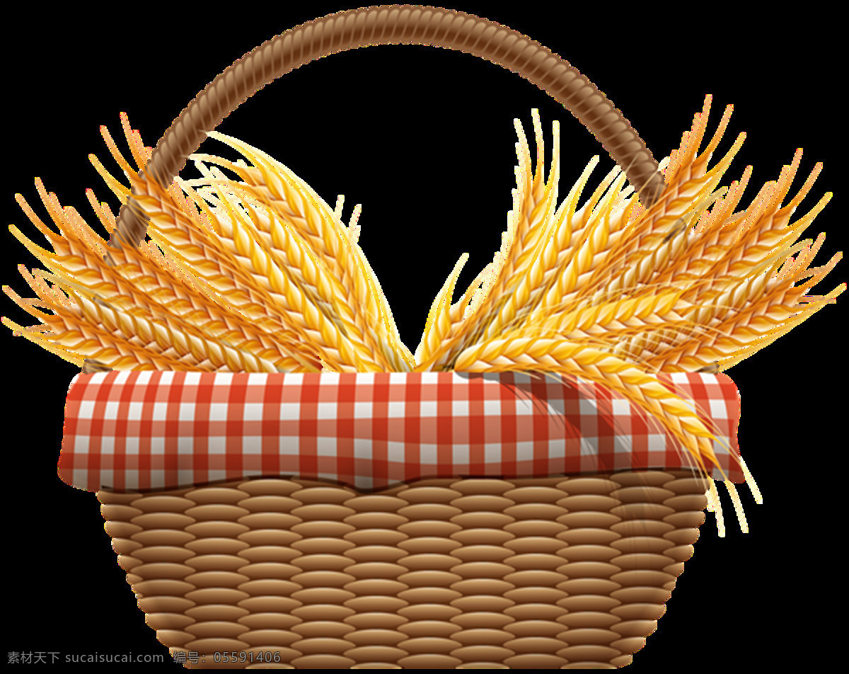 麦子 小麦 麦粒 麦麸 麦穗 麦地 png图 透明图 免扣图 透明背景 透明底 抠图 生物世界 蔬菜