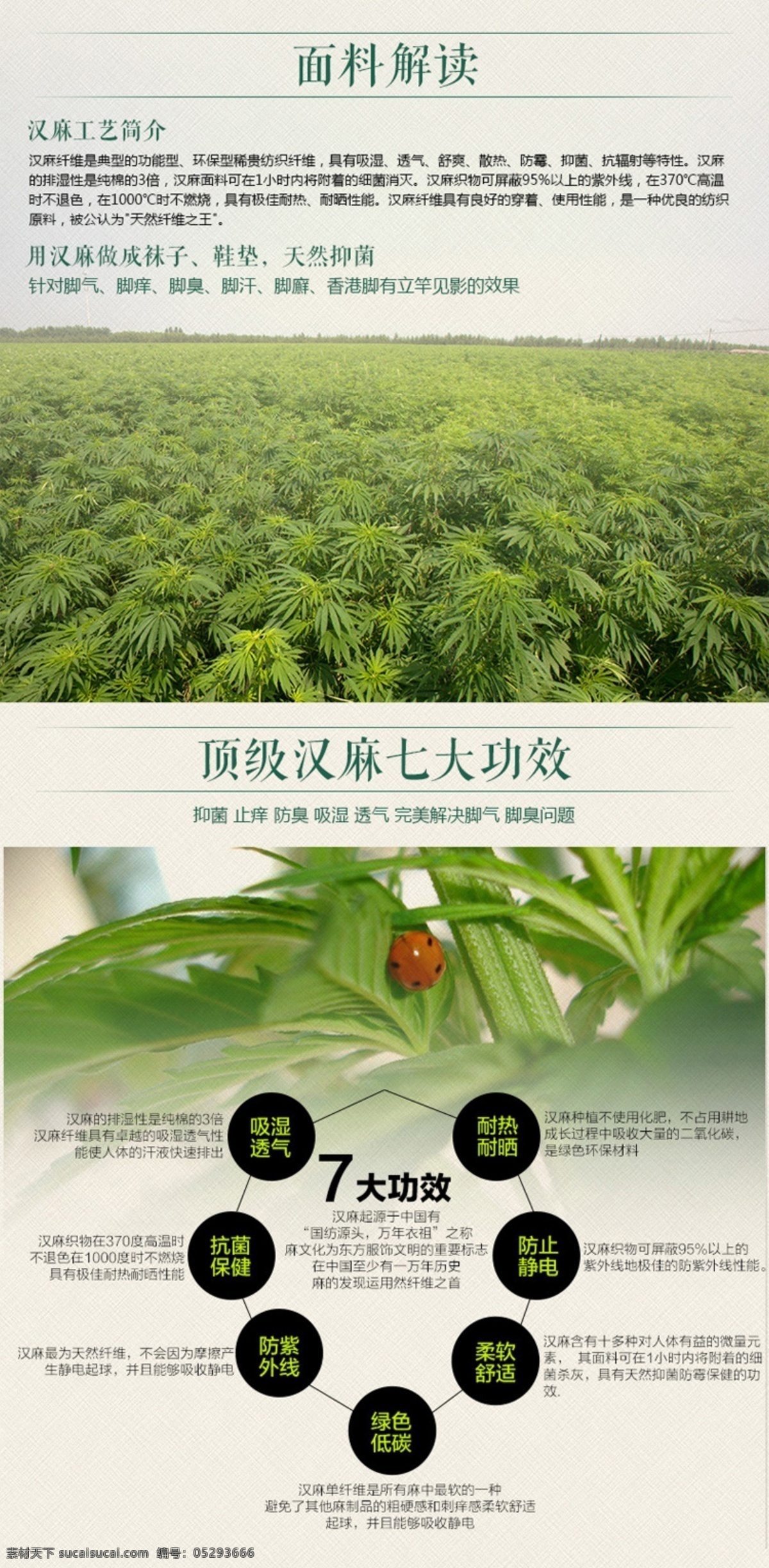 汉 麻 大麻 详情 页 材质 详情页素材 汉麻 面料解读 七大功效 原创设计 原创淘宝设计