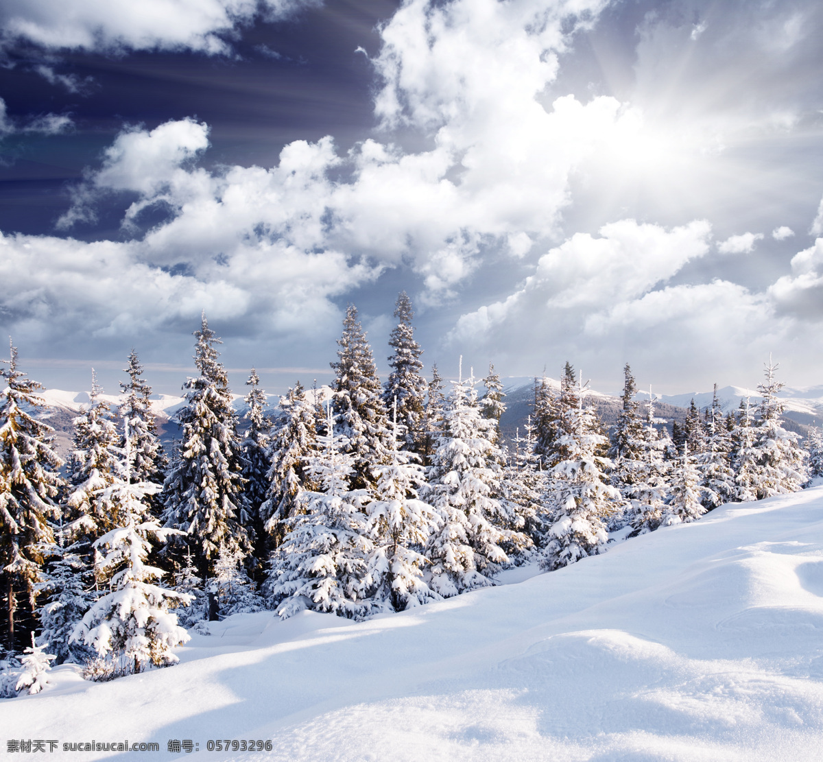 冬季雪景 冬季 冬天 雪景 美丽风景 景色 美景 积雪 雪山 雪地 森林 自然风景 自然景观 白色