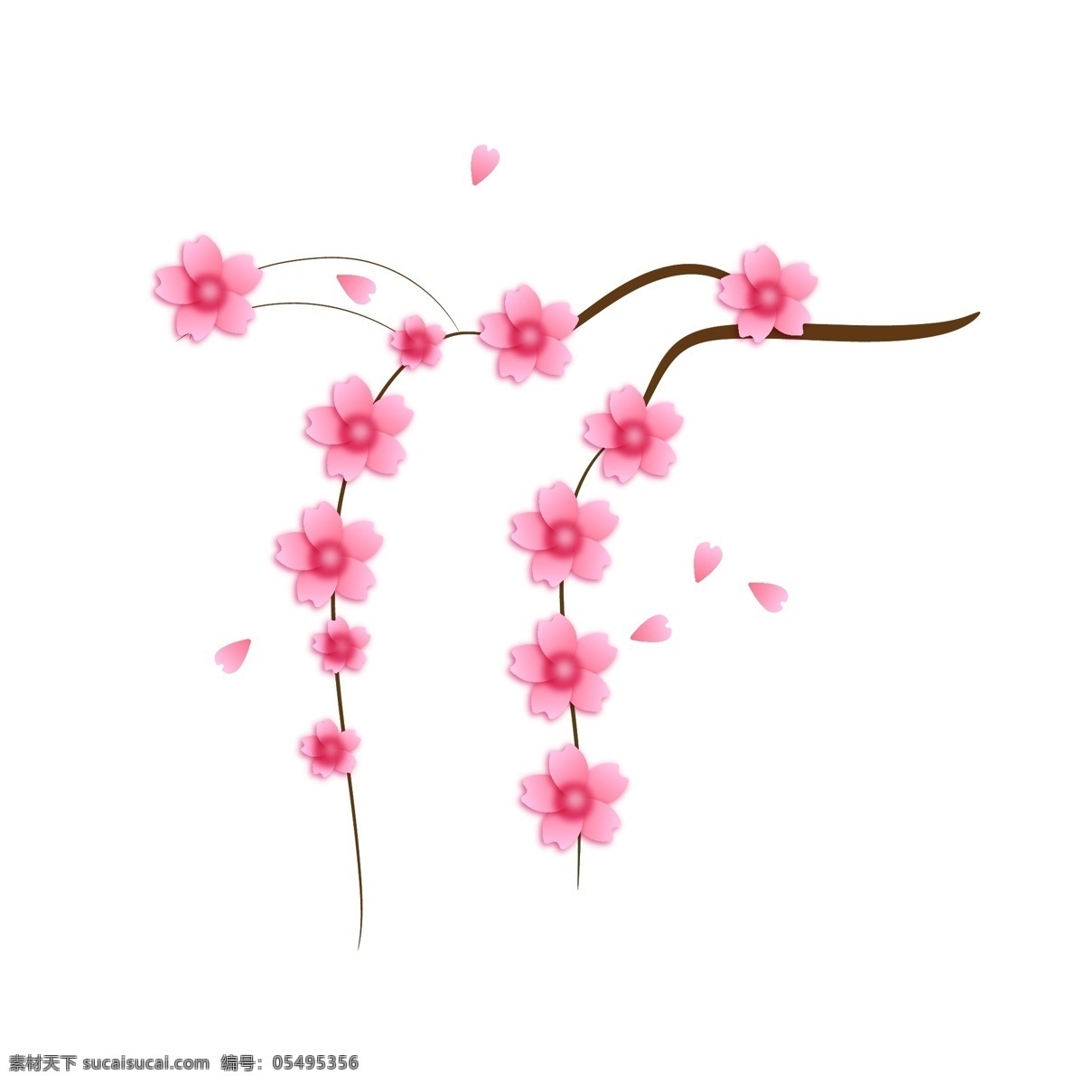 垂 吊 粉色 樱花 插画 垂吊的樱花 卡通插画 鲜花插画 花朵插画 花瓣插画 樱花插画 漂亮的樱花