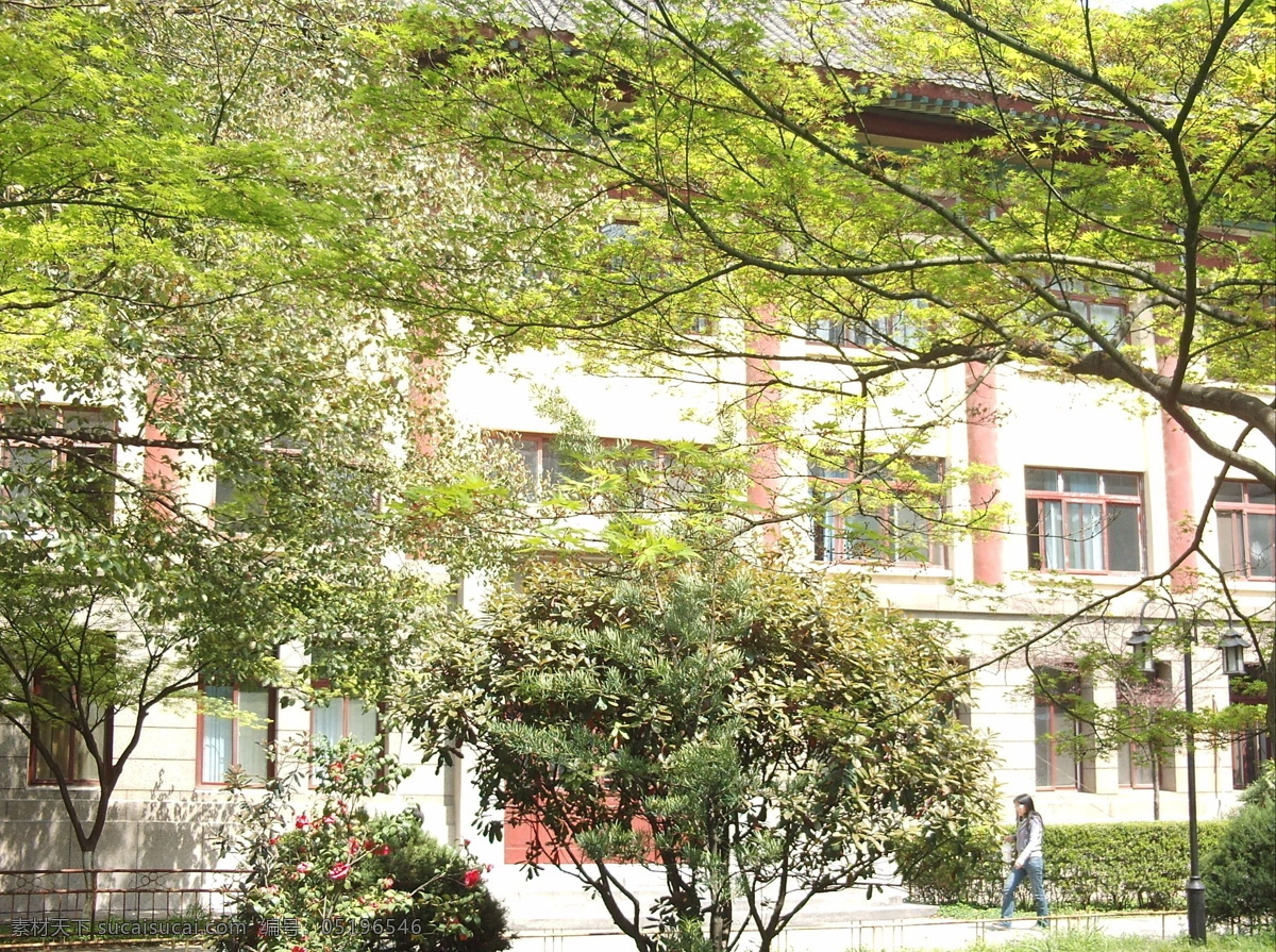 南京师范大学 校园 美景 非 高清 树木 绿色 南京师大 南京 师院 大学 高校 建筑摄影 建筑园林 园林建筑