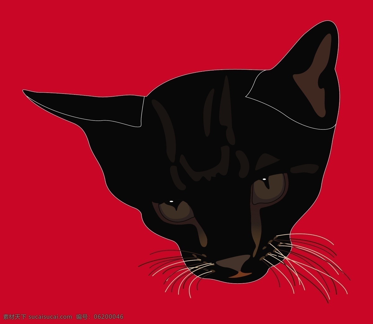 猫 脸 形状 猫脸的形状 矢量图 日常生活