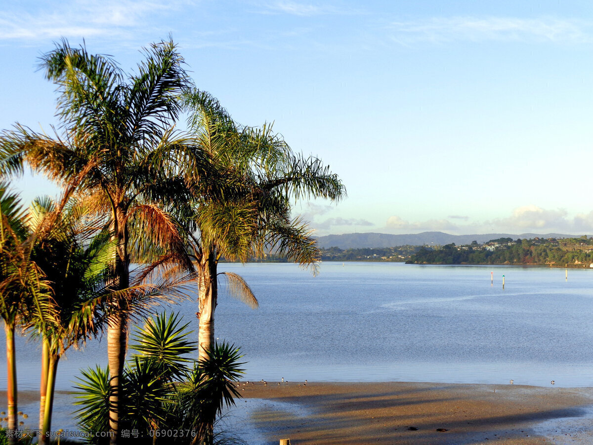 新西兰 海滨 风景 蓝天 白云 夕阳 大海 海水 海滩 远山 绿树 棕榈树 风光 自然风景 自然景观